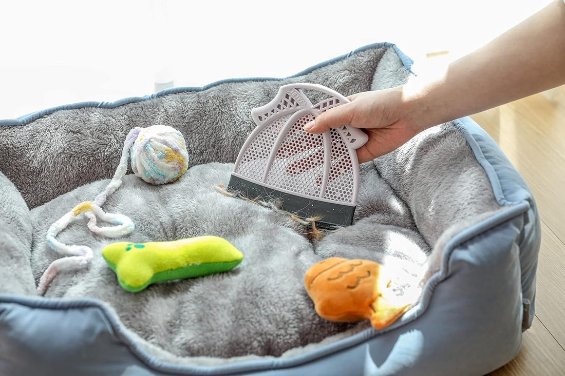 Broombi Pet Hair Remover, Cleans Lint, Dust, Human Hair
