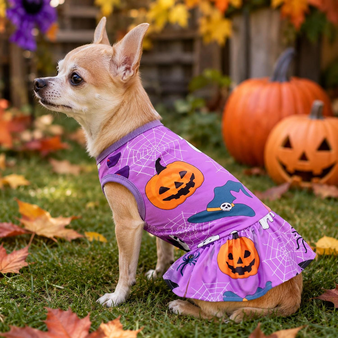 2PCS Halloween Dog Dresses for Medium Dogs Skirts Sundress M