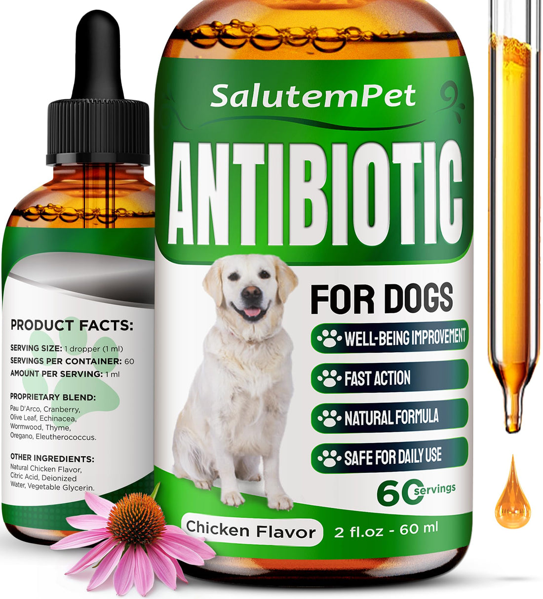 Dog Antibiotics for Infections, Cough, & Itching
