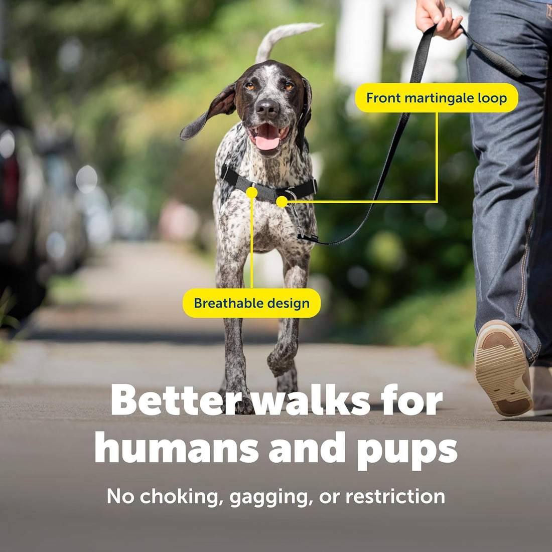 PetSafe Easy Walk Harness, No Pull Dog Harness, Raspberry