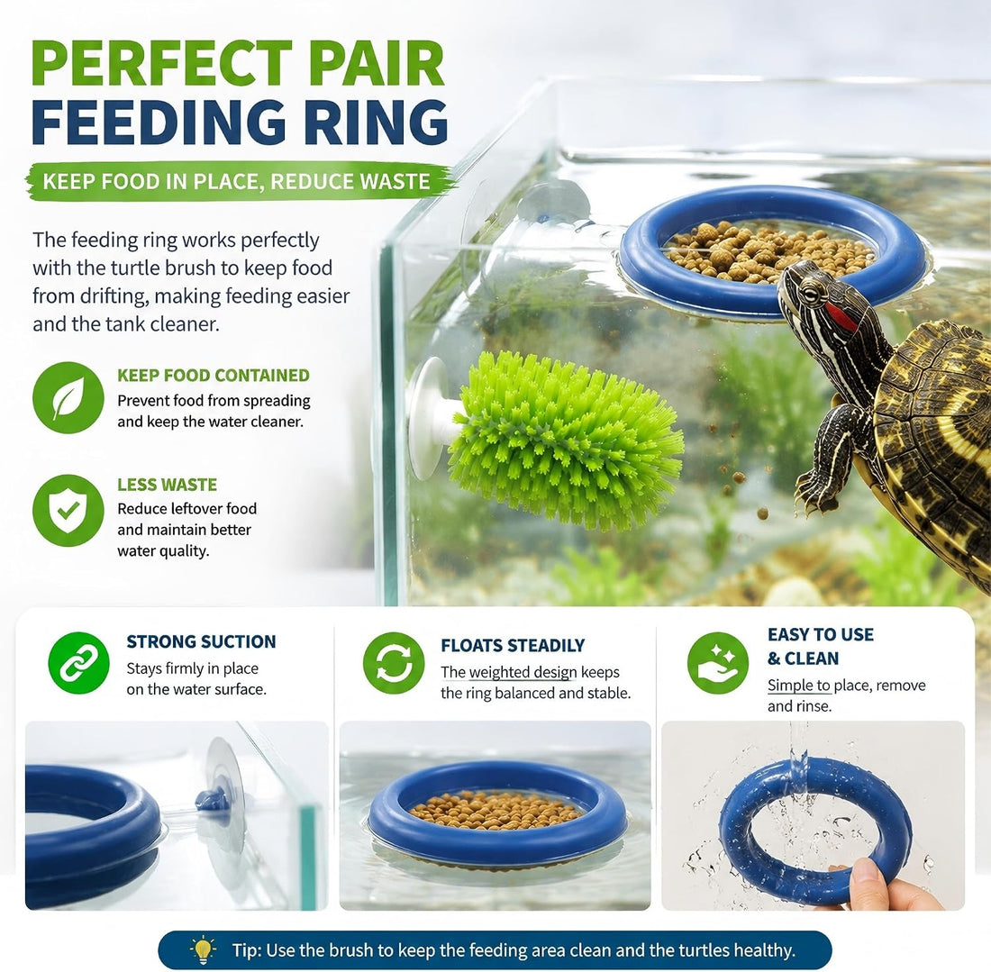 Turtle Brush with Suction Cup, Feeding Rings & Turtle Tank Accessories