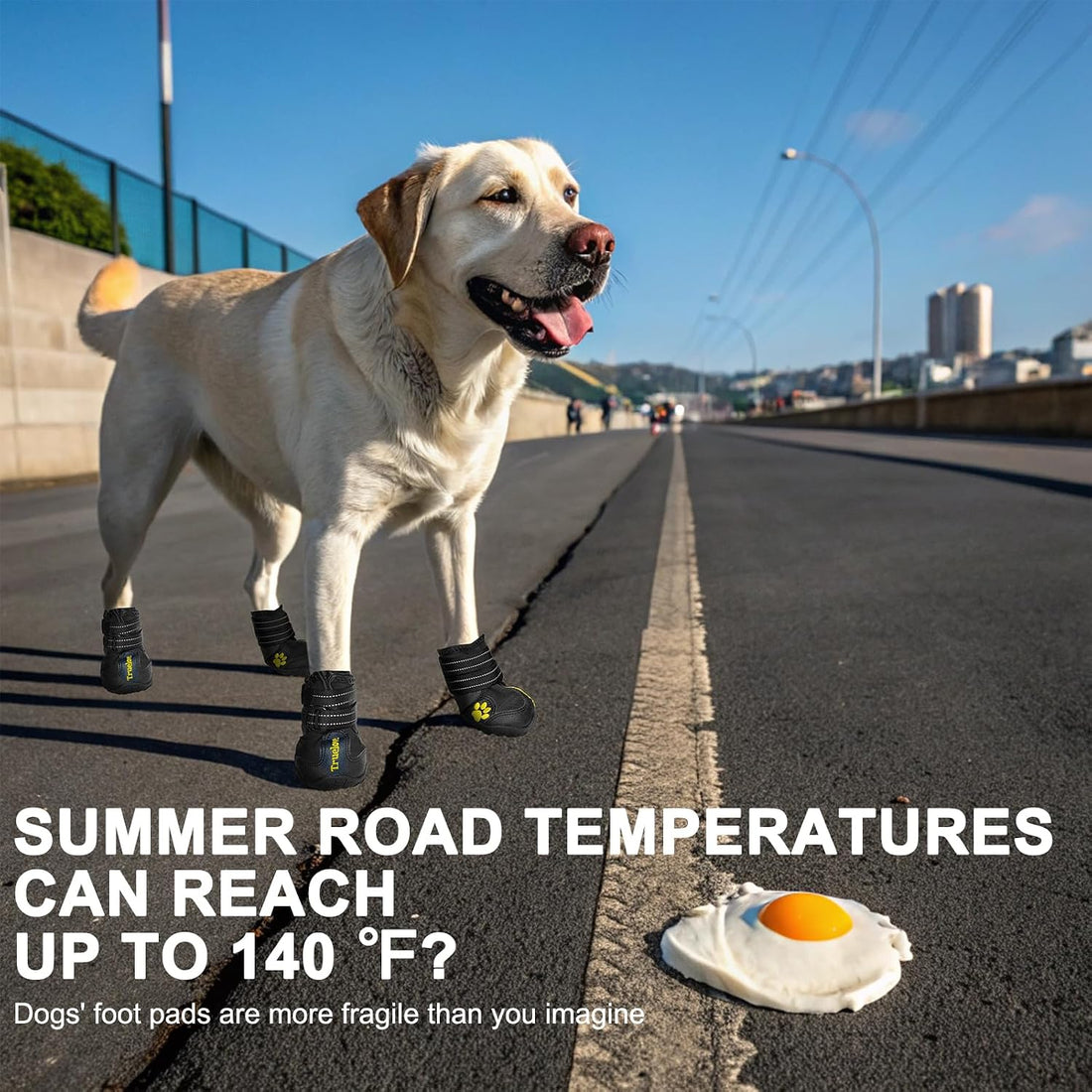 EXPAWLORER Dog Shoes for Large Dogs, Dog Shoes for Hot Pavement