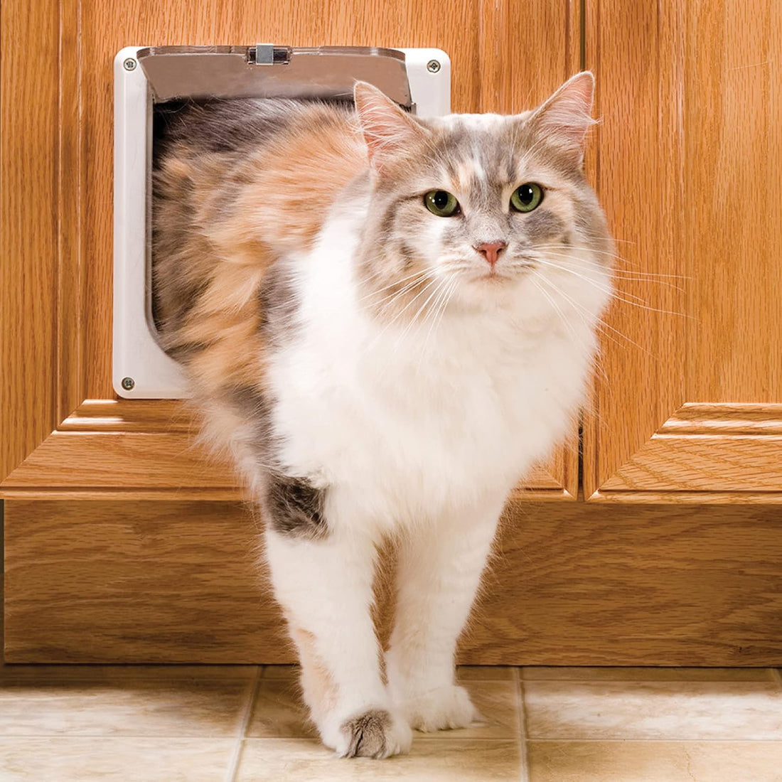 PetSafe Interior Cat Door – 4-Way Lock Option