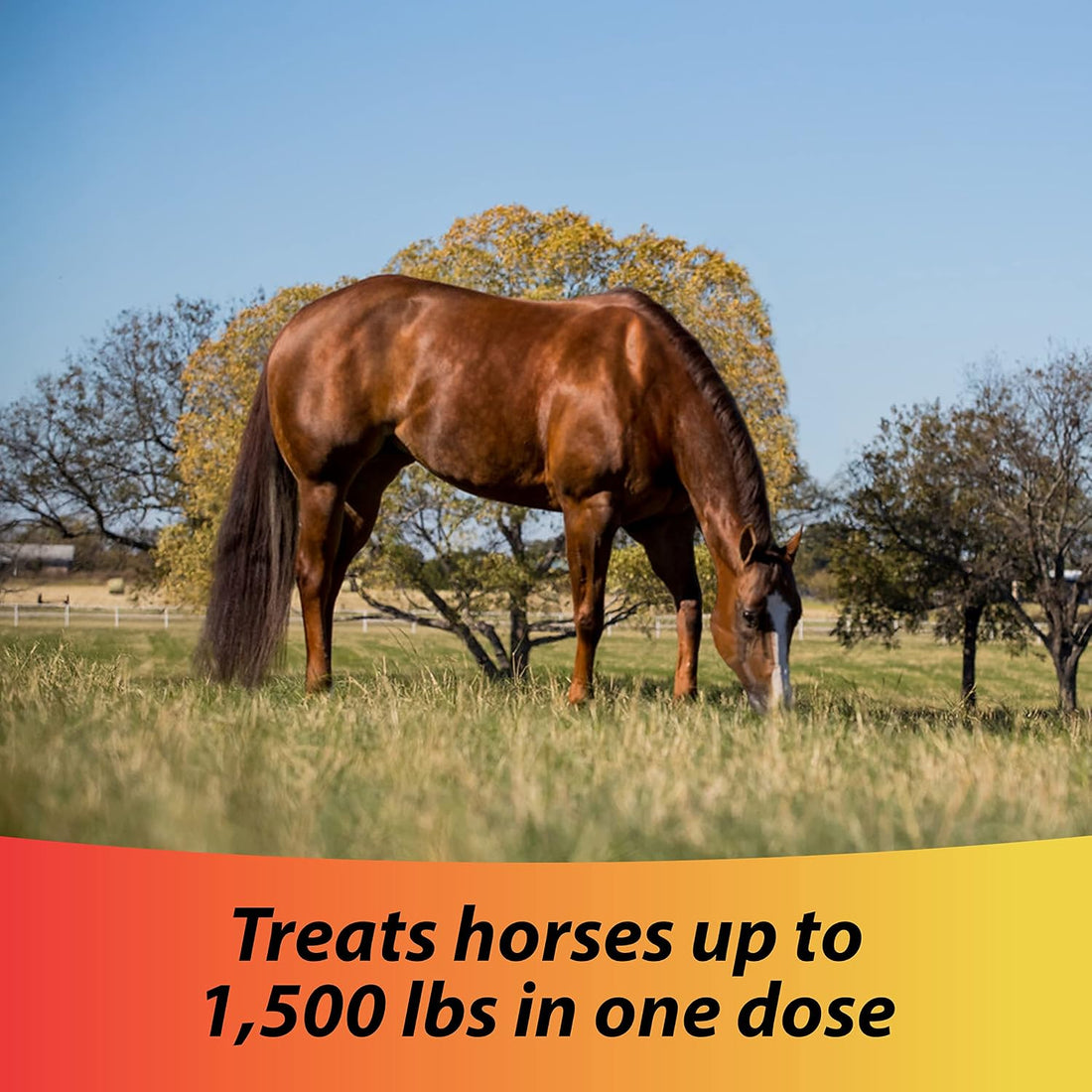 Farnam IverCare Ivermectin Horse Paste Apple Flavor 1.87%