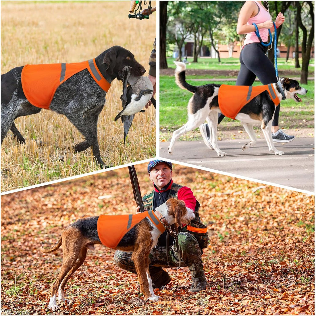 Dog Jacket High Visibility Safety Reflective Dog Vest for Small
