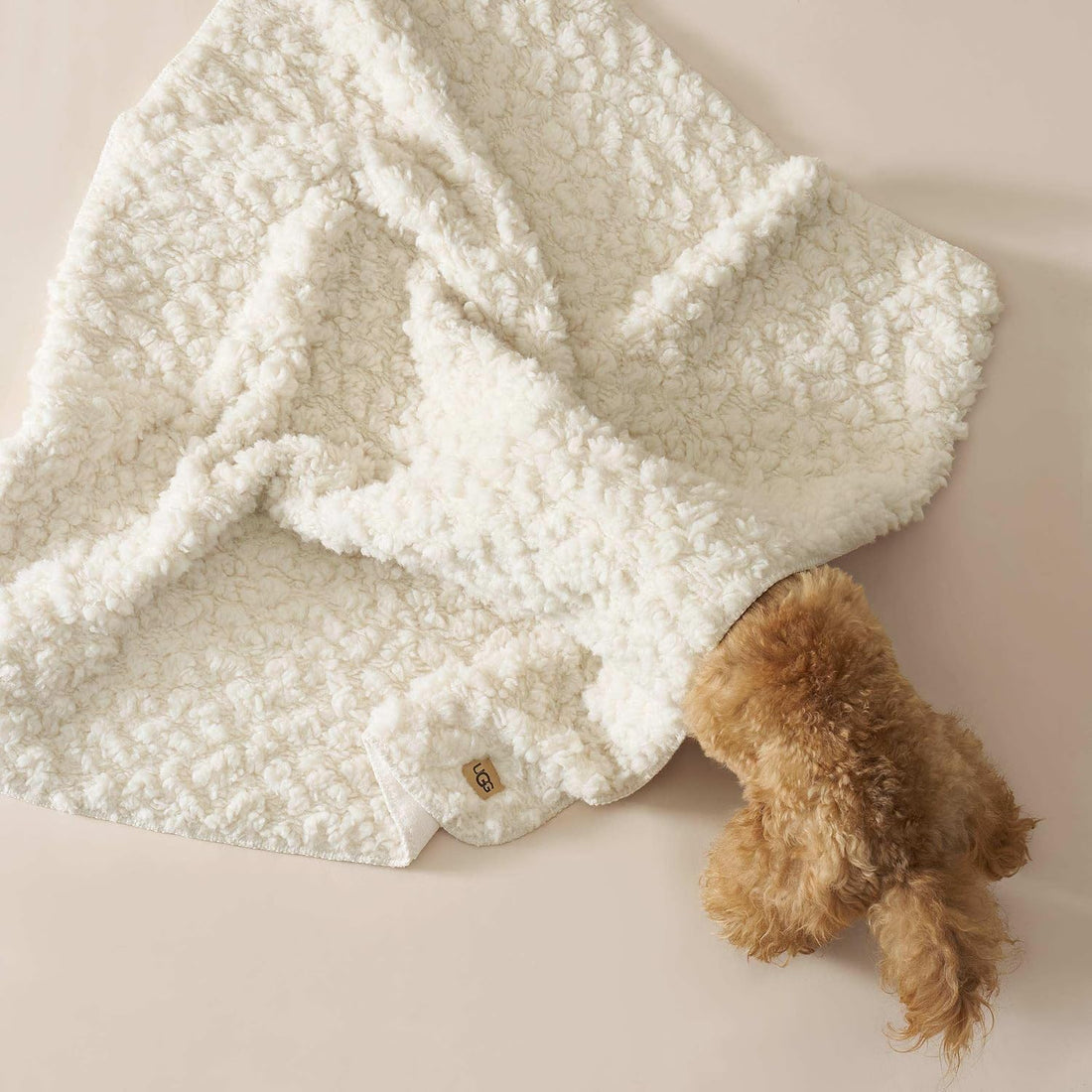UGG Shira Pet Throw, Reversible, 50" x 40", White (Snow)