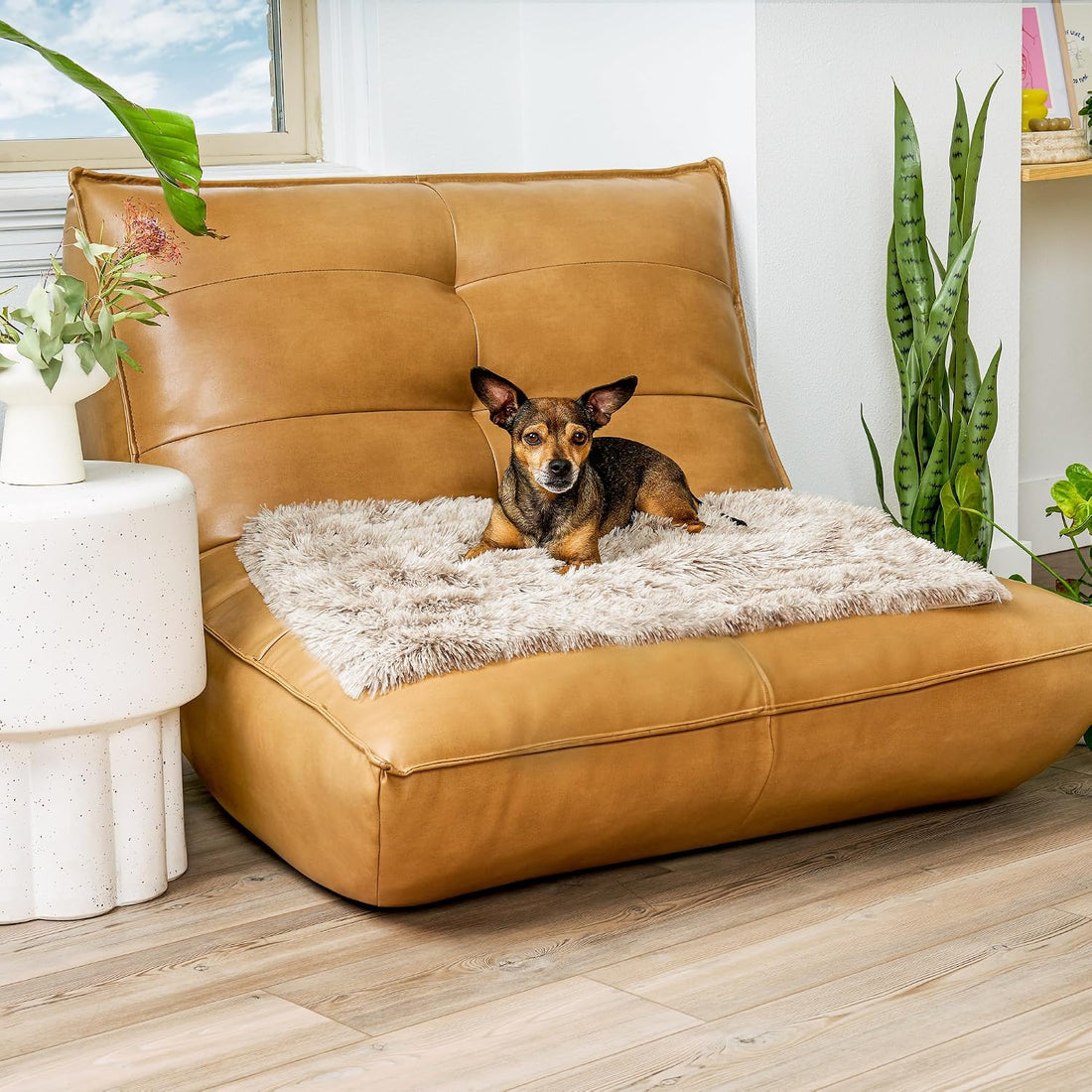 Furhaven Waterproof Throw Blanket for Dogs & Indoor Cats, Washable