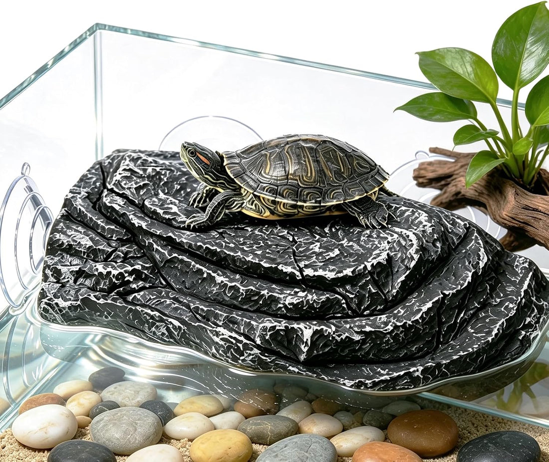Turtle Basking Platform with Suction Cups