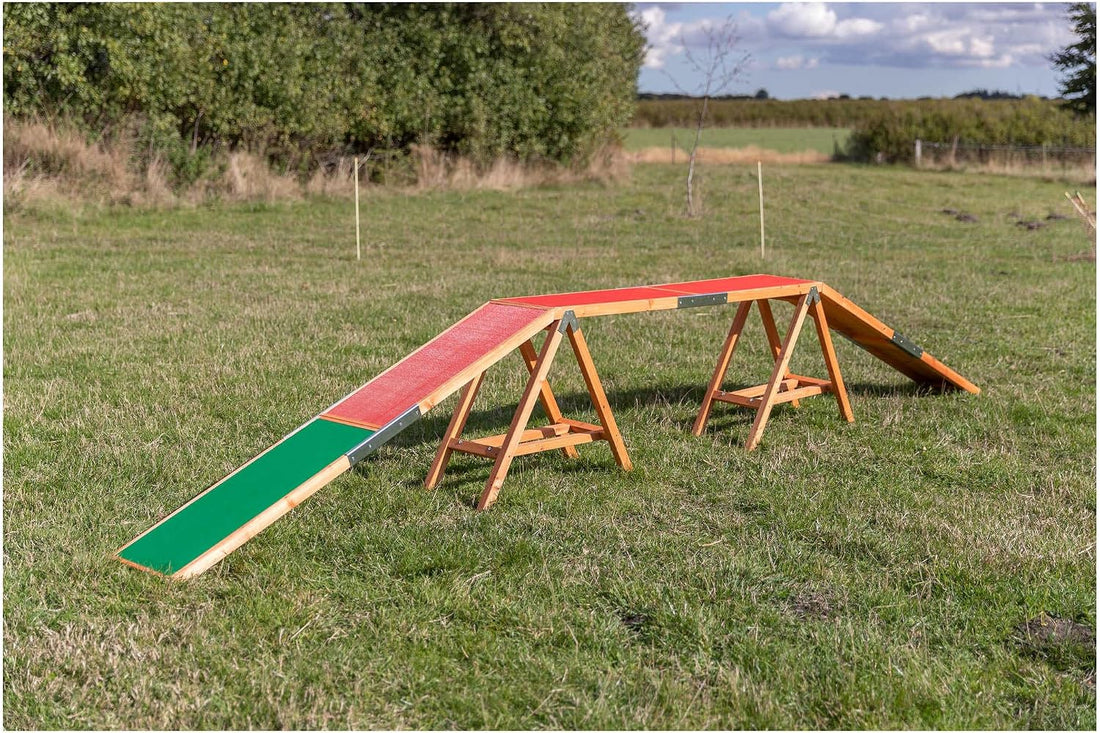 Trixie Agility Dog Walk with Contact Zones