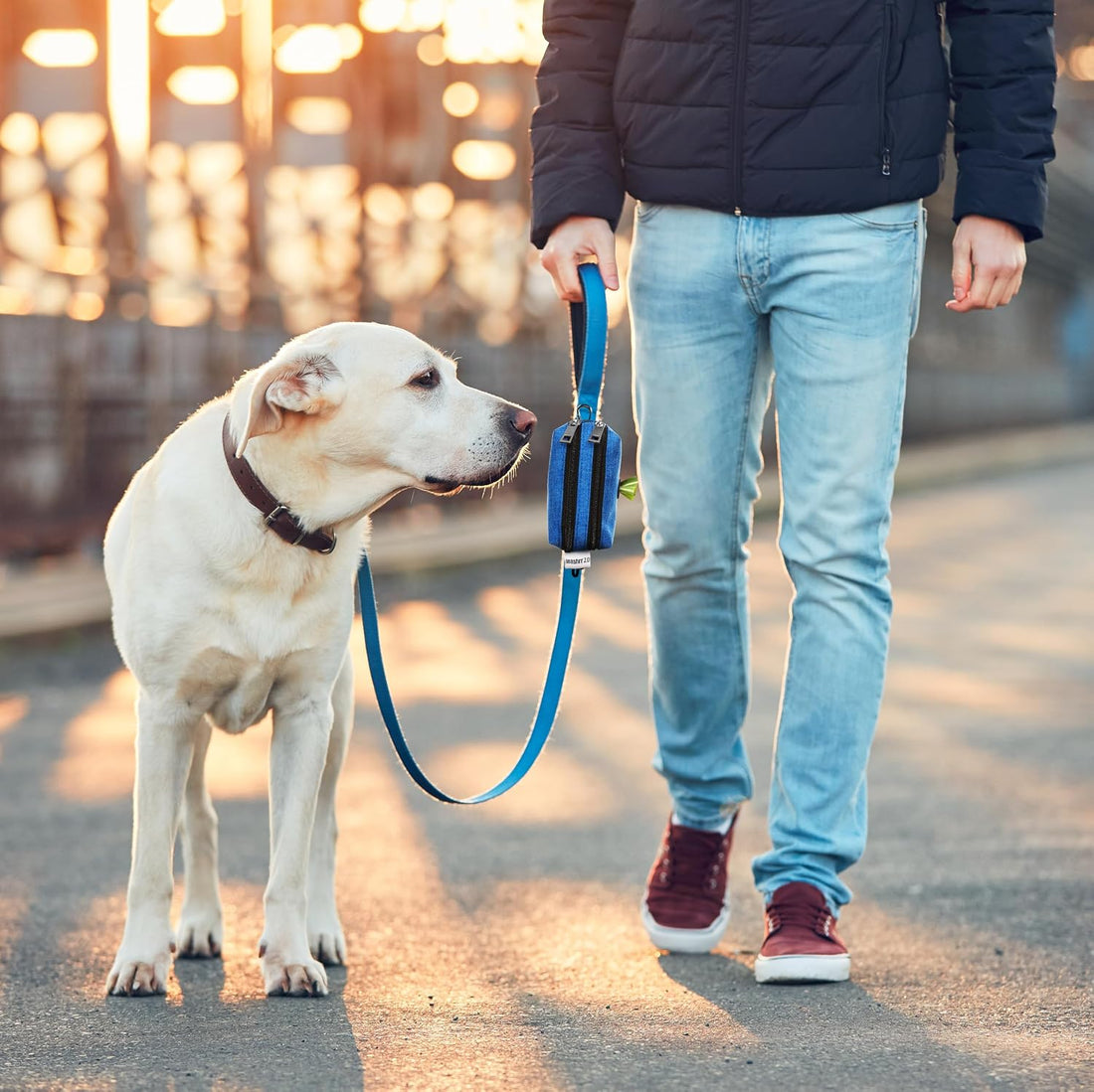 Dog Poop Bag Holder for Leashes and Treat Holder with 3 Waterproof