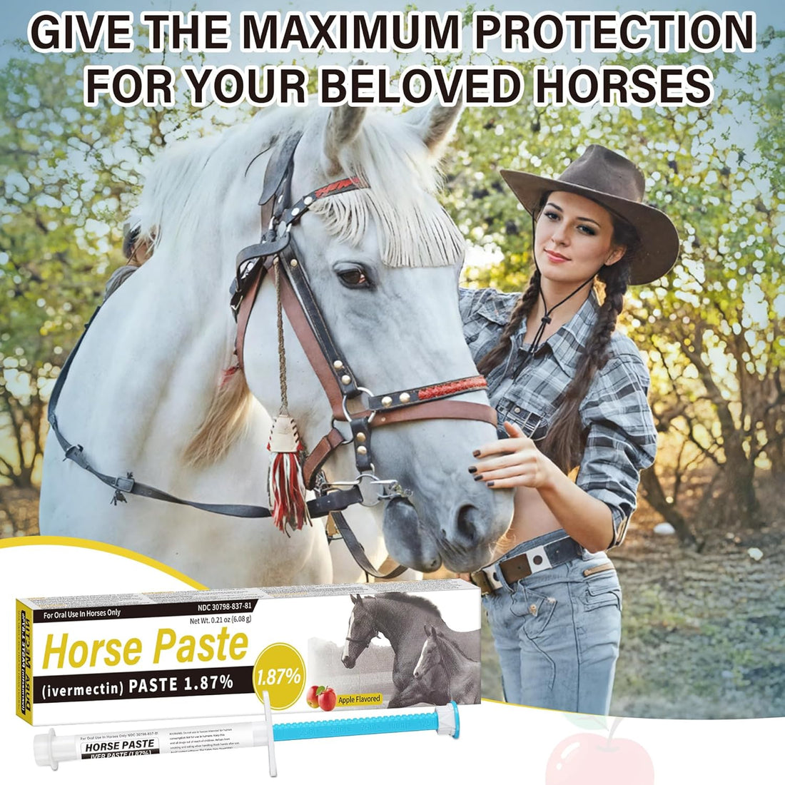Equine Paste 1.87% – 12 Pack (6.08g) Apple Flavored Oral for Horses