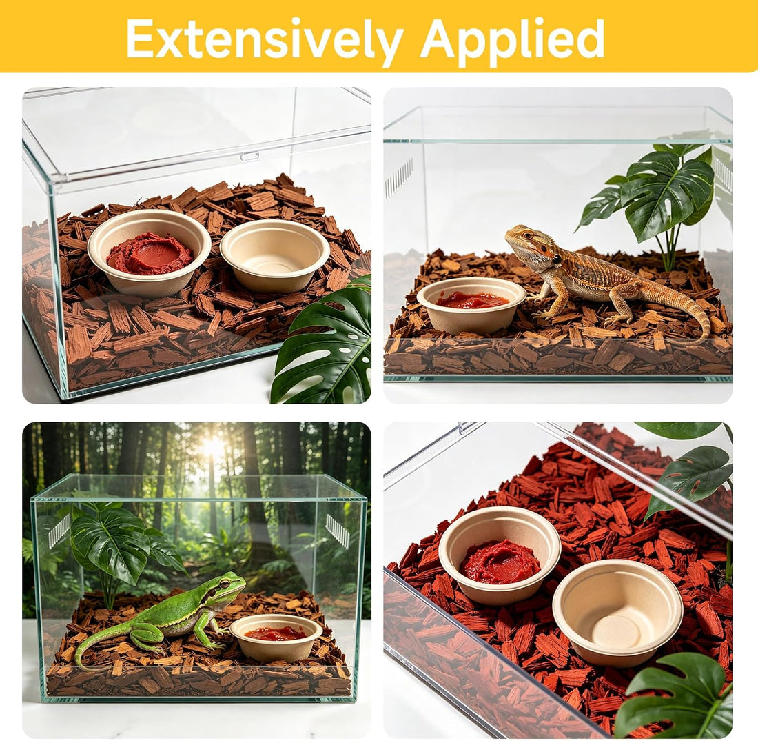 Gecko Feeding Cups, 100-Pack 1 Oz Small Paper Bowls for Crested Gecko