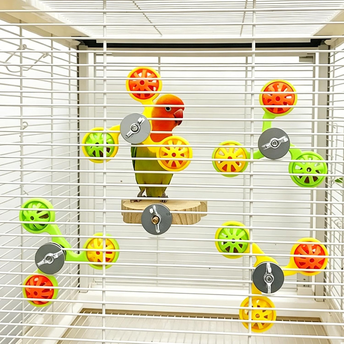 Bird Toys for Parakeets, Wheel Spinning Parrot Toy with Bells