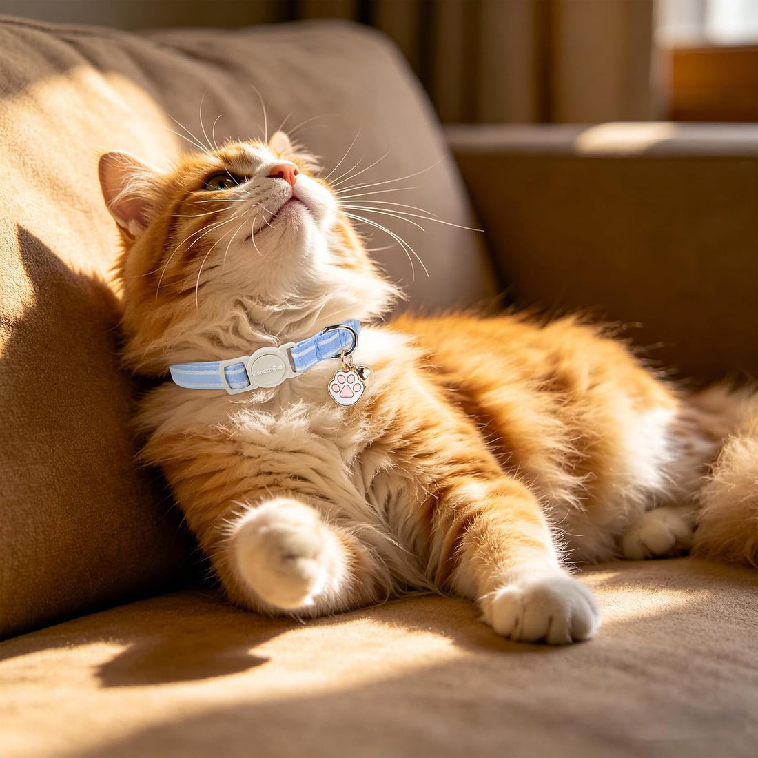 LIONET PAWS 2 Pack Breakaway Cat Collars