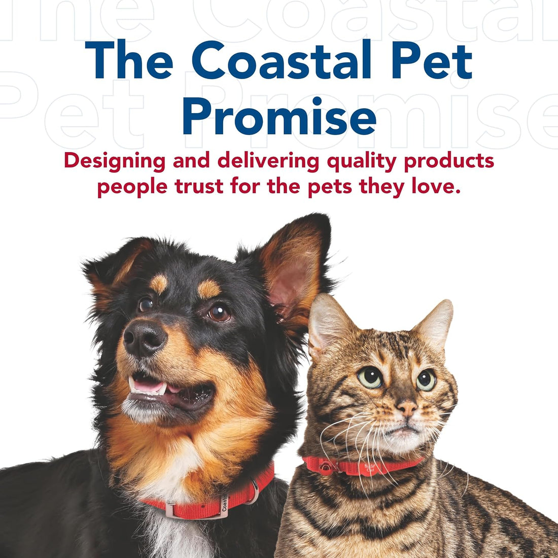 Coastal Pet Safari Dog Grooming Comb for Fine Coats, 4 1/2"