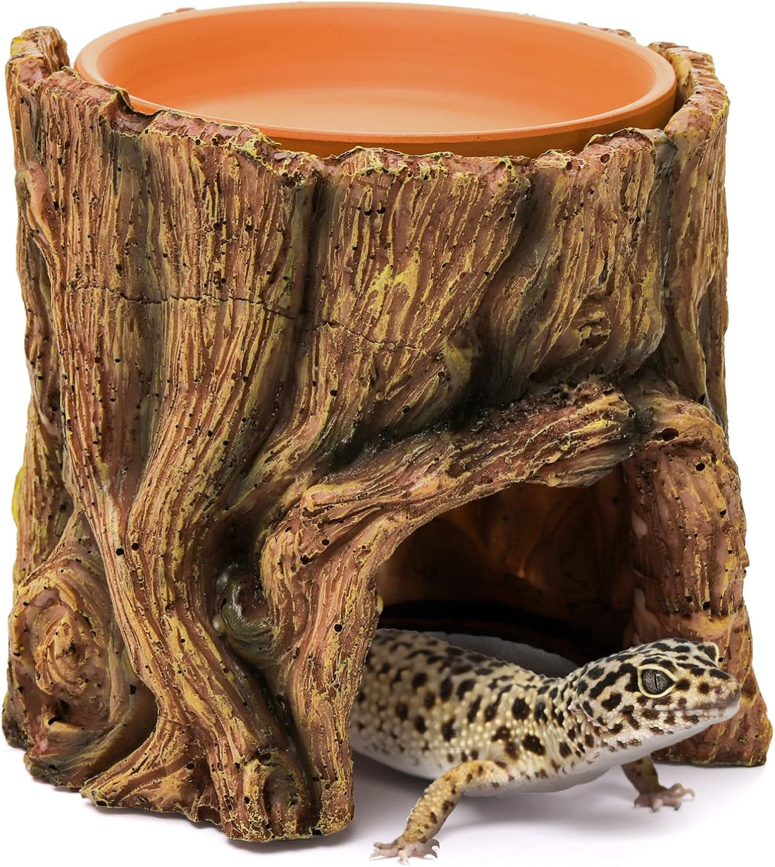 Cididu Reptile Hide Cave Resin
