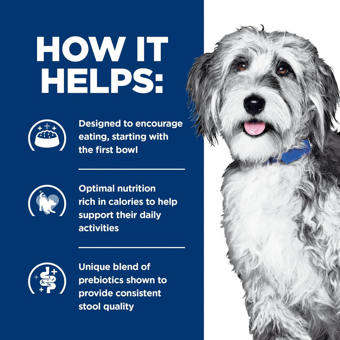 Hill's Prescription Diet ONC Care Wet Dog Food