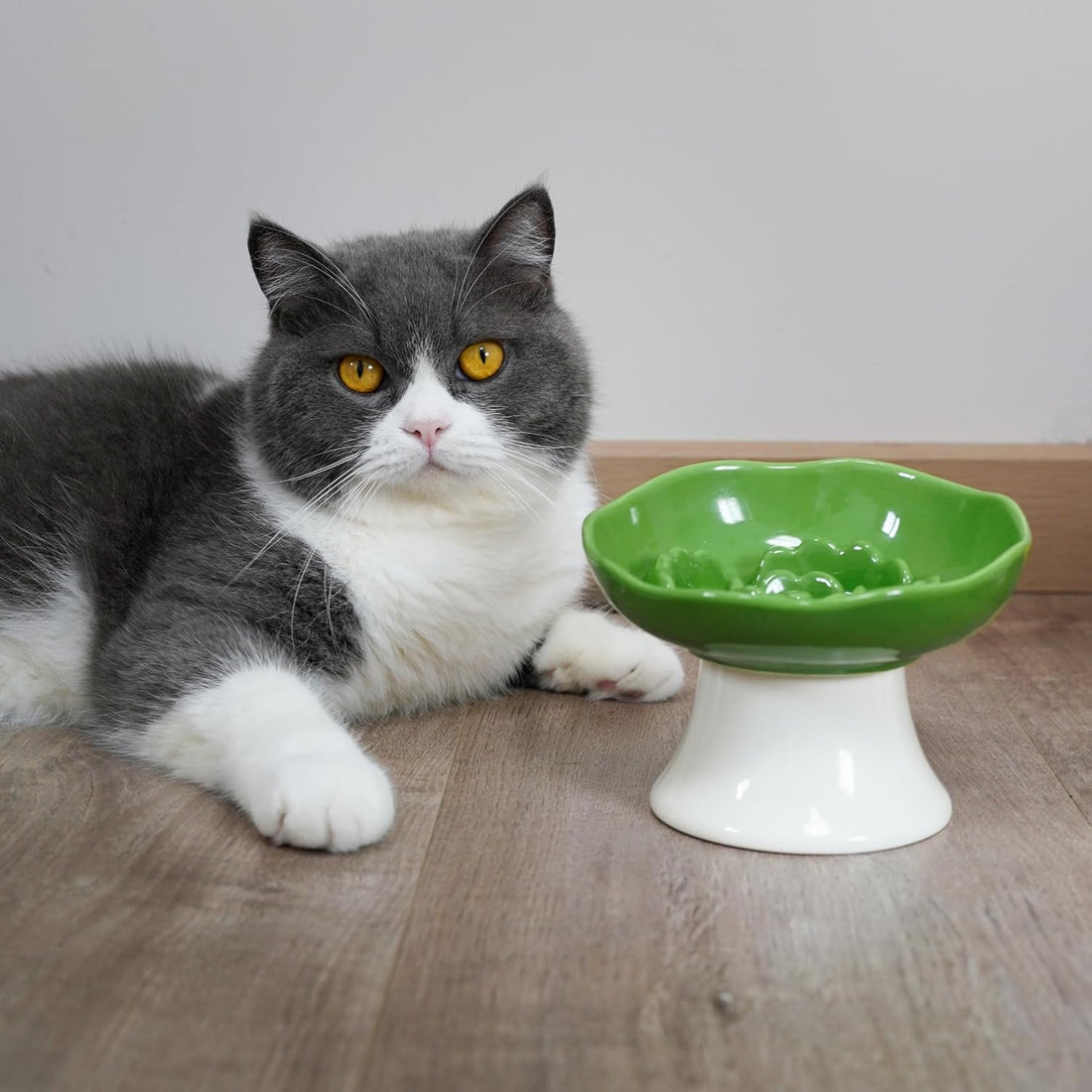 Ceramic Slow Feeder Bowl for Cats and Small Dogs