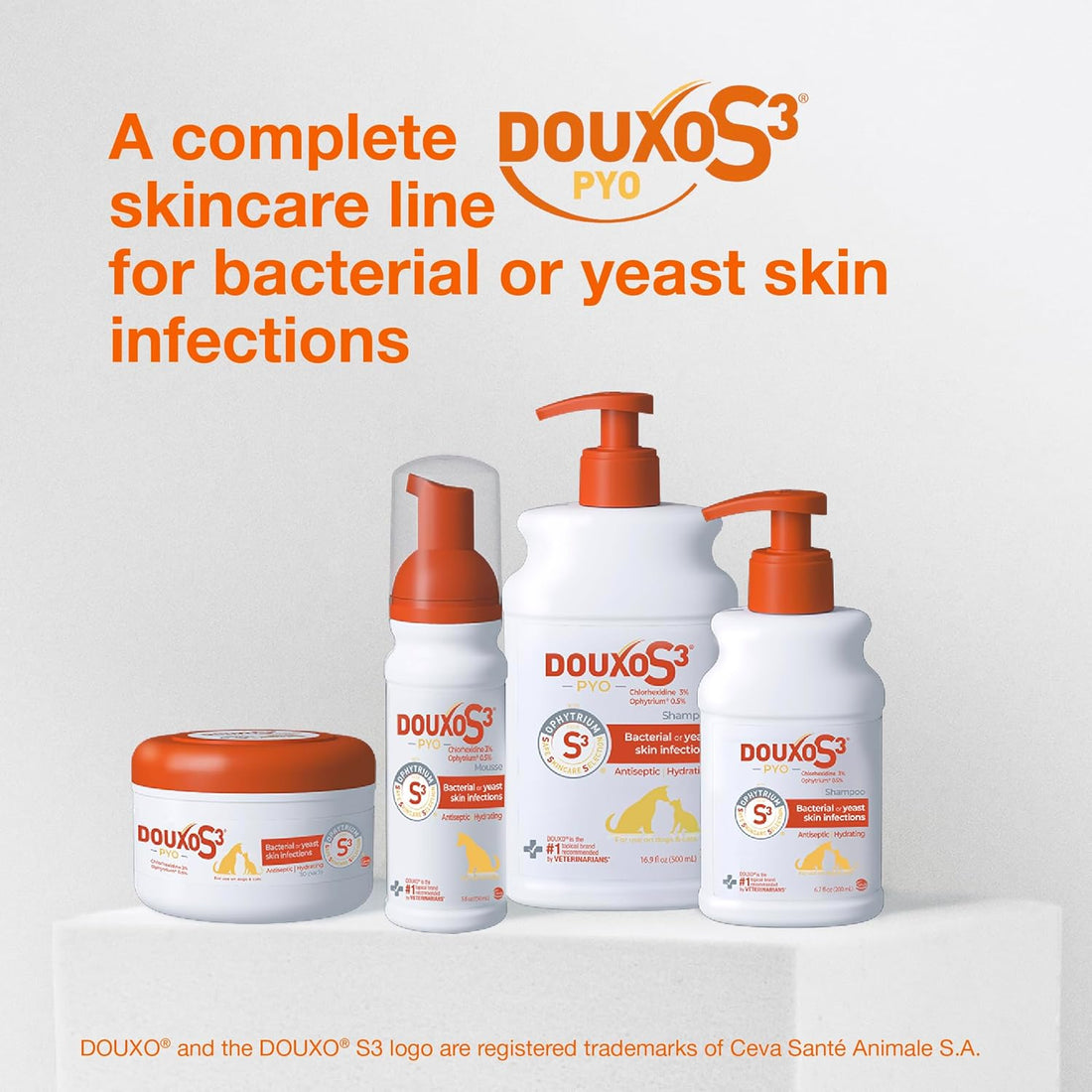 Douxo S3 PYO Chlorhexidine Shampoo & Mousse for Dogs