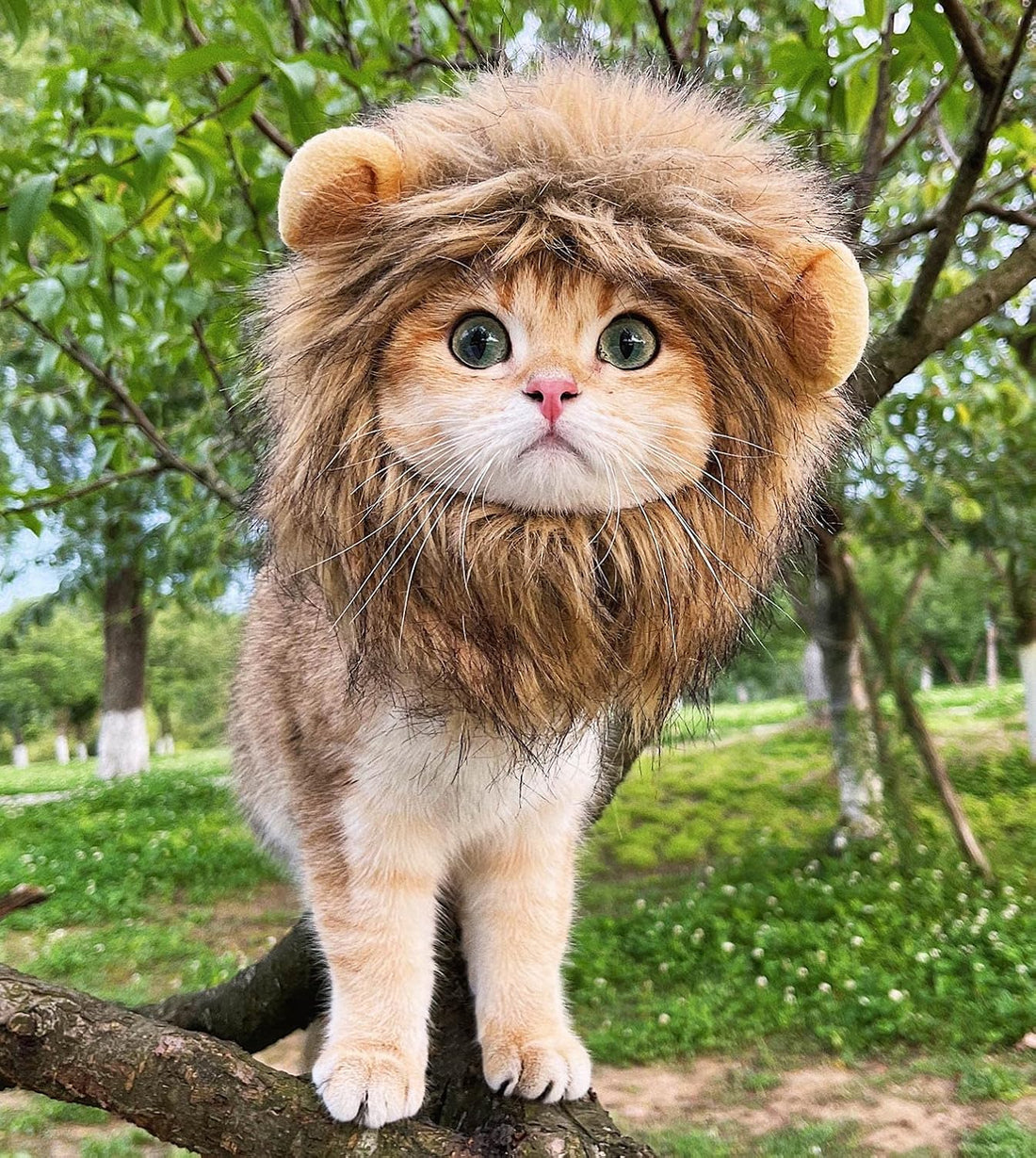 Lion Mane Wig for Cat Costume Pet Adjustable Washable Comfortable