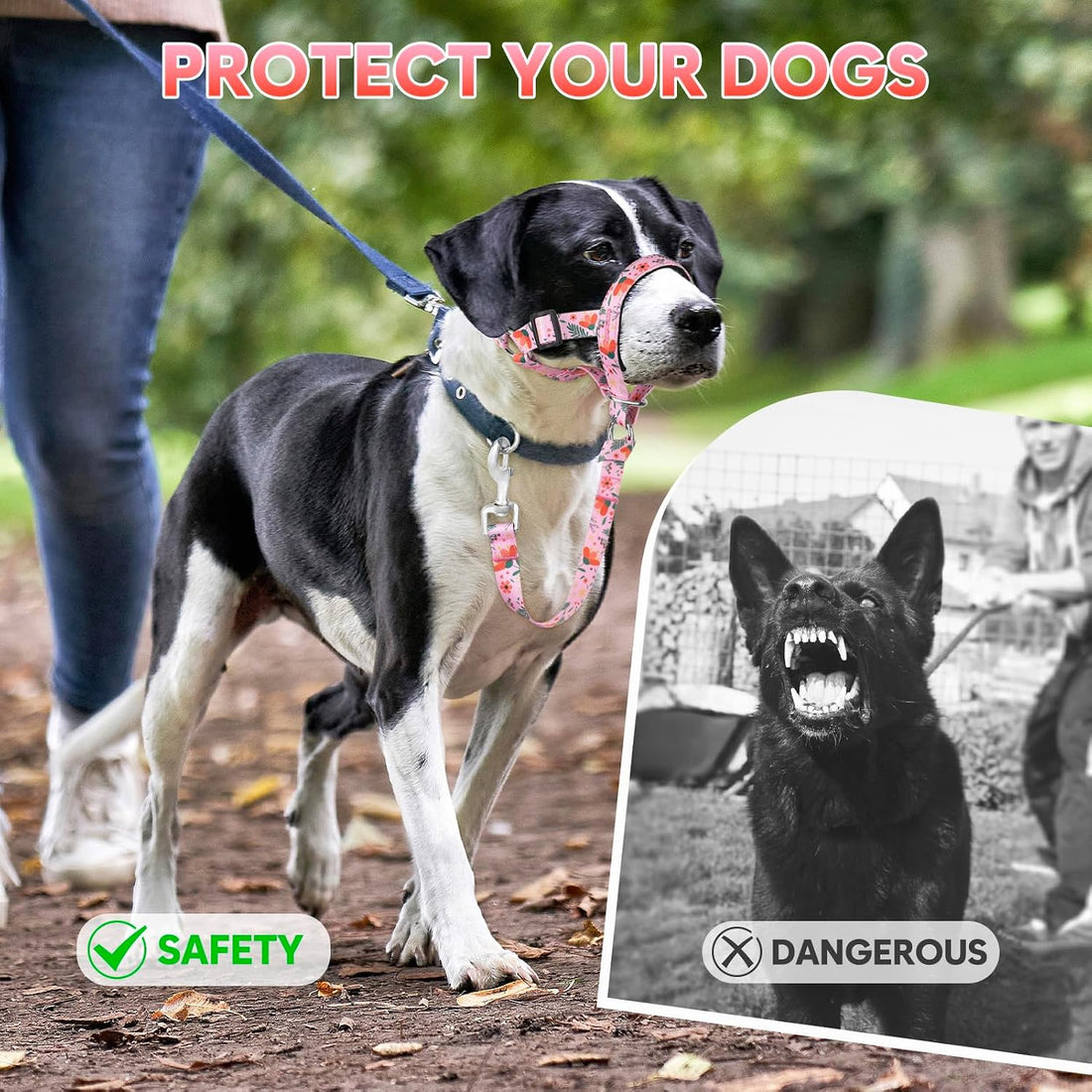 Dog Head Collar, Printed No-Pull Headcollar