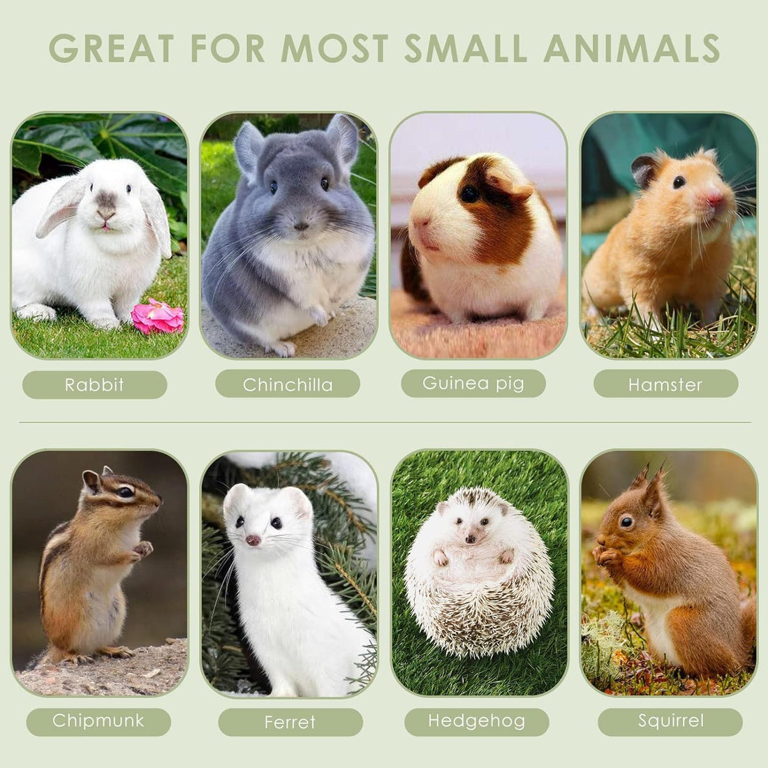 ERKOON Chinchilla Treats, Chew Toys for Teeth for Rabbit Guinea Pig