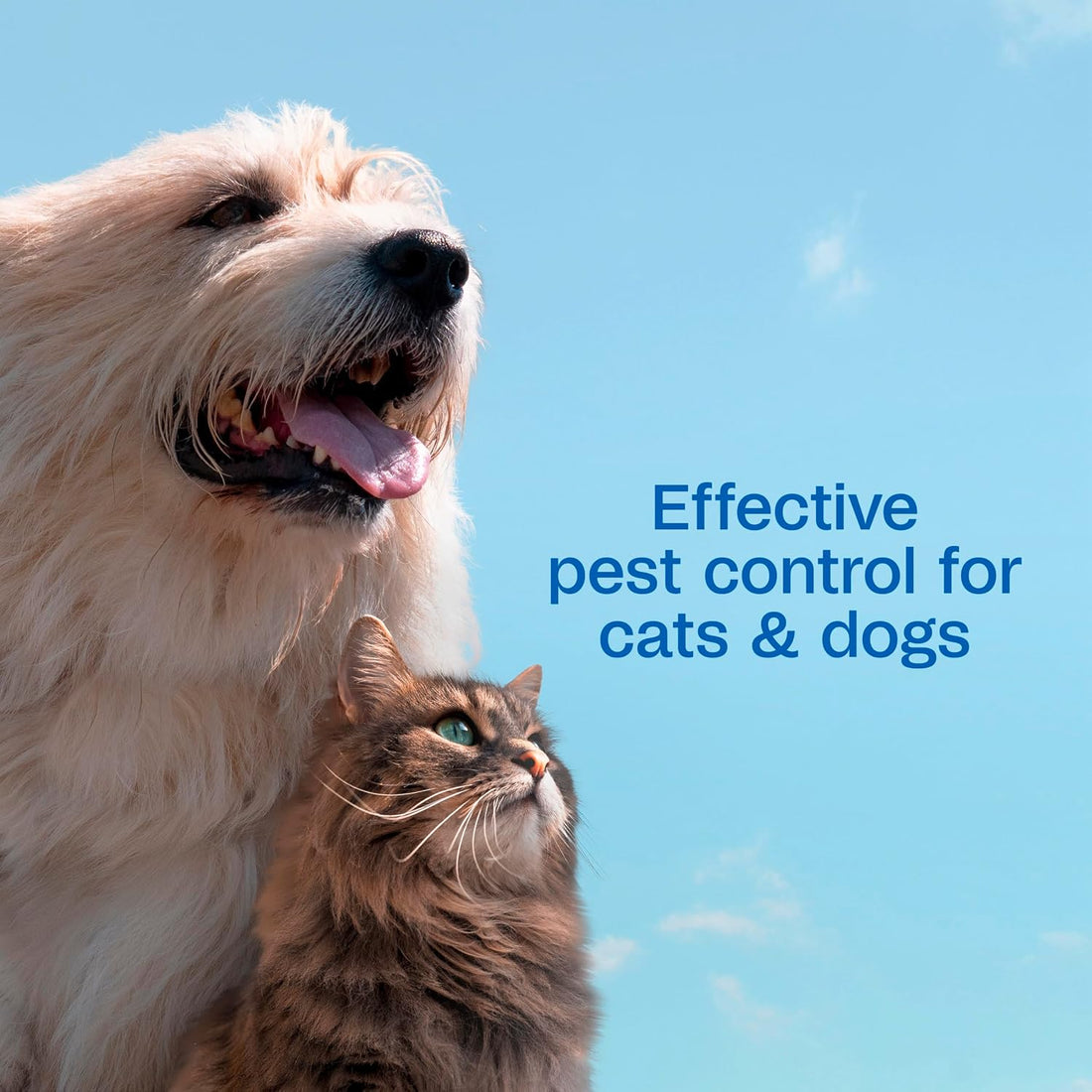 ADAMS Plus Flea & Tick Shampoo with Precor for Dogs & Cats, 24 oz