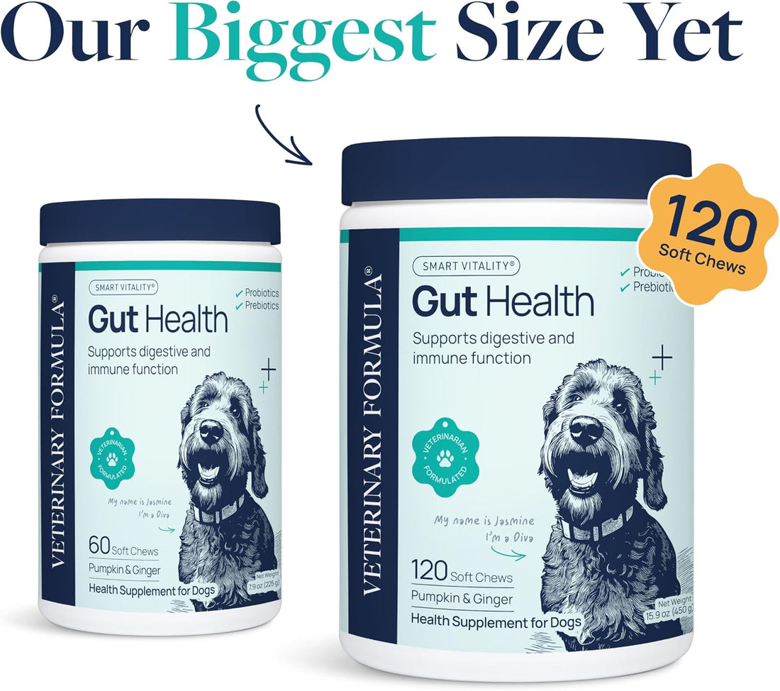 Veterinary Formula Smart Vitality Gut Health Soft Chews for Dogs