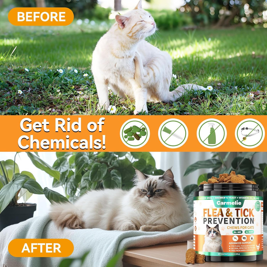 Flea and Tick Treatment for Cats