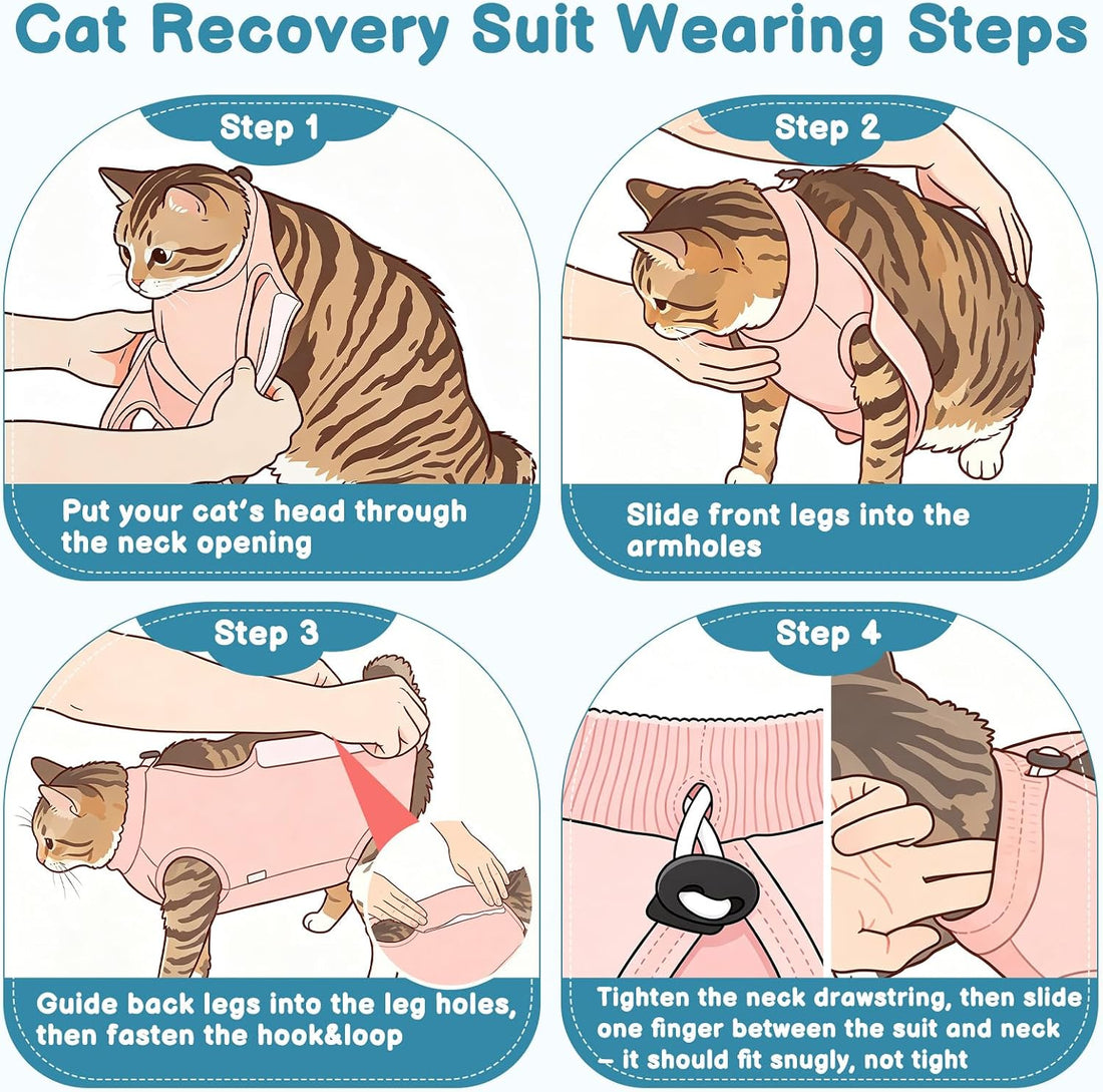 Cat Recovery Suit After Surgery, Cat Onesie for Abdominal Wound