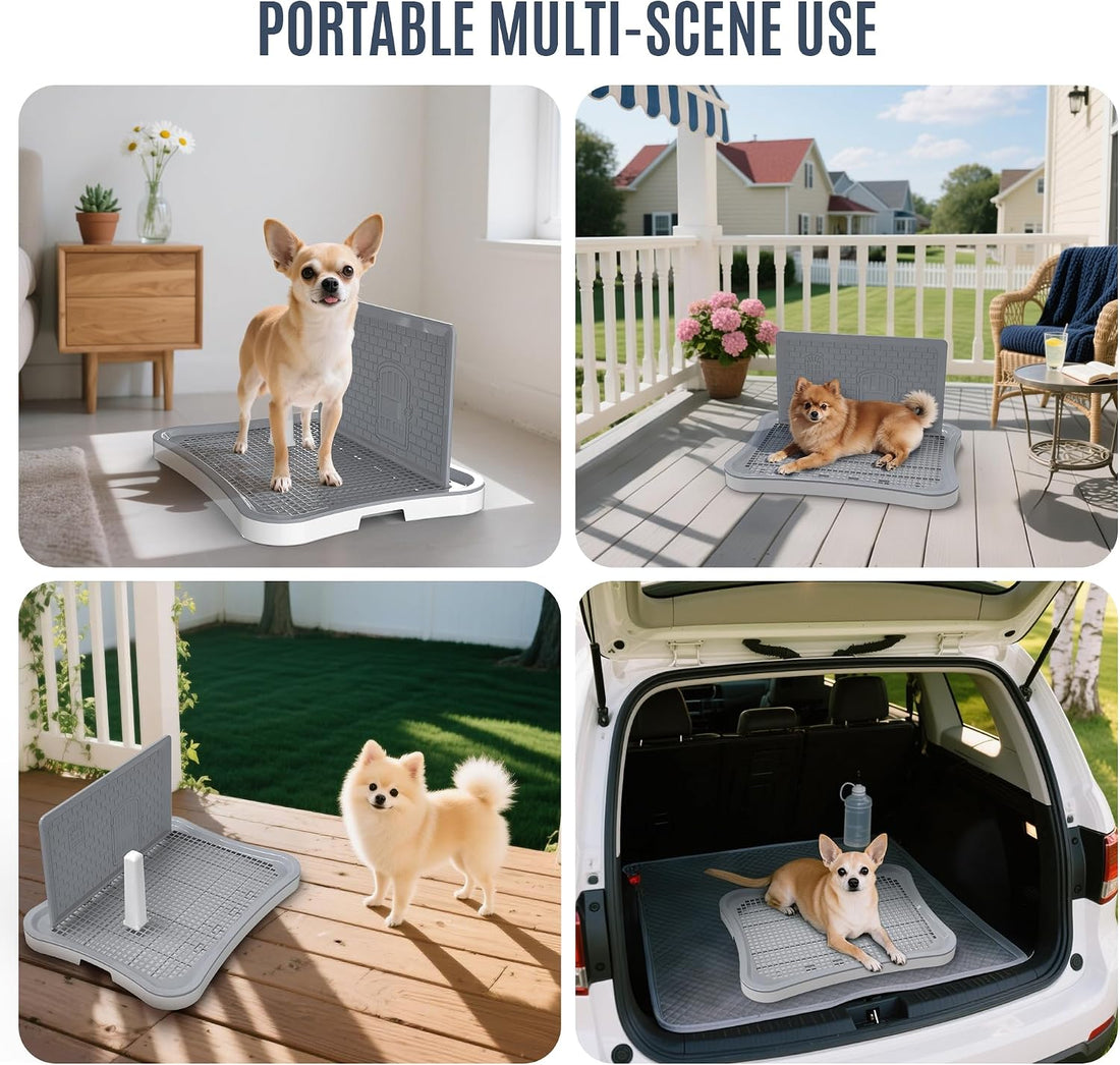 Pee Pad Holder for Dogs and Puppies, Dog Potty for Small Dogs