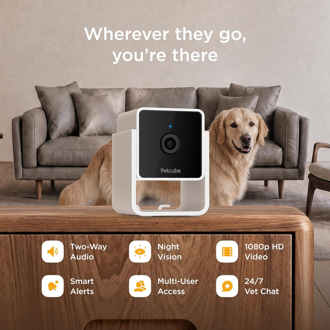 Petcube GPS Tracker for Dogs – Real-Time GPS Tracking & Escape Alerts
