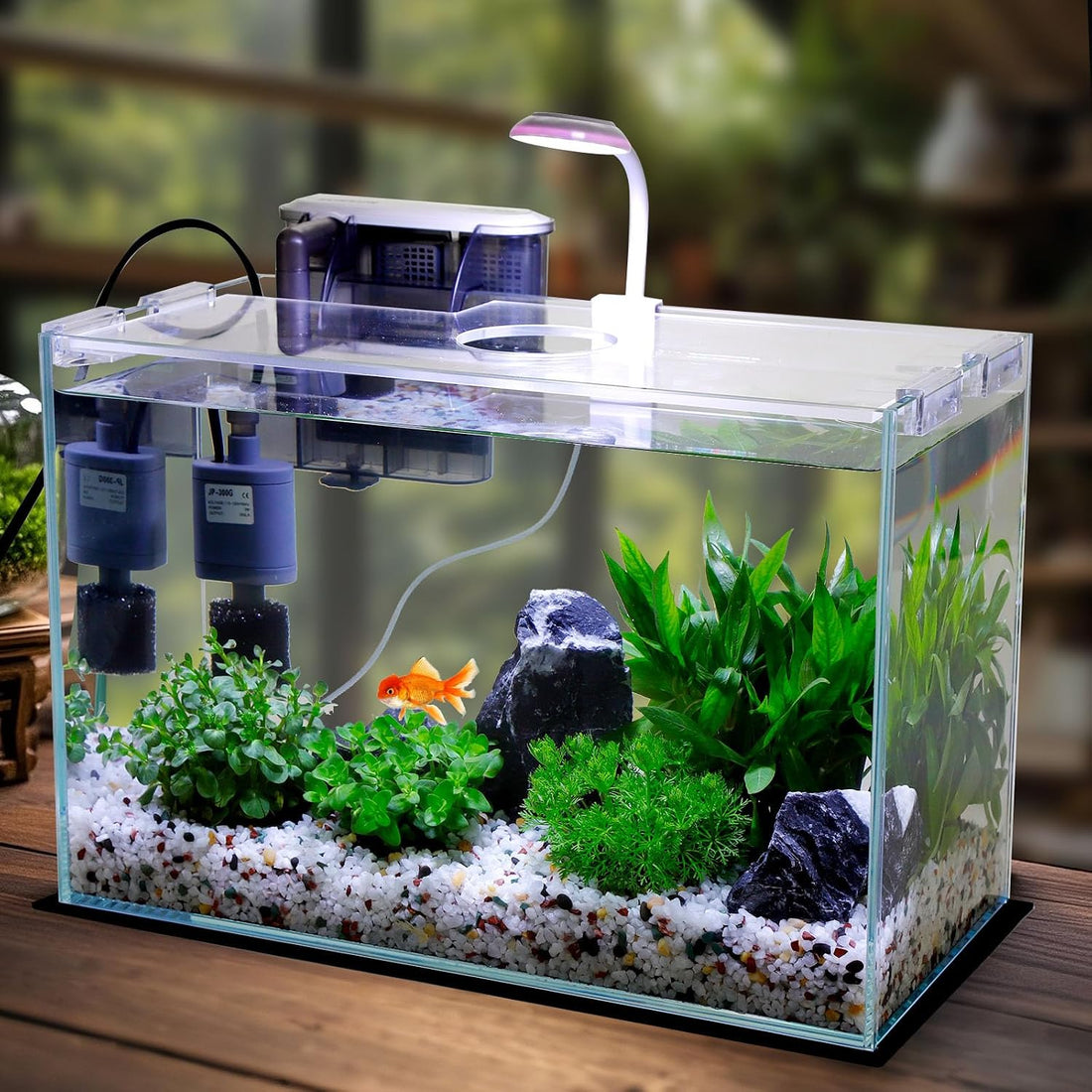 Vimvins 3 Gallon Glass Small Fish Tank