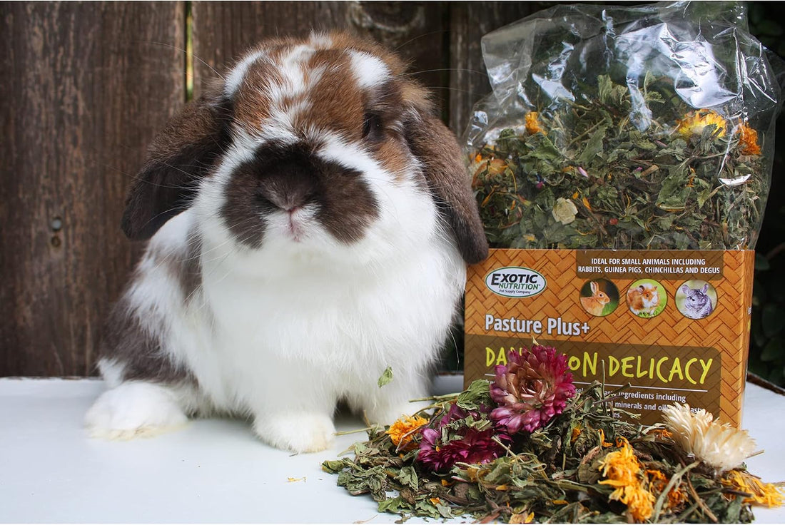 Exotic Nutrition Pasture Plus+ Dandelion Delicacy