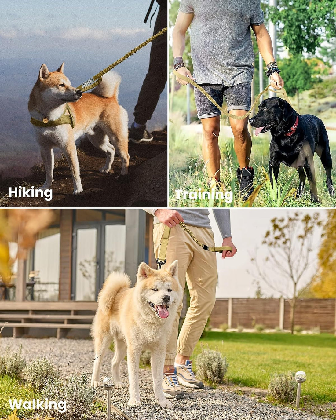 OutdoorMaster Bungee Dog Leash with Shock Absorption, Seatbelt-Buckle