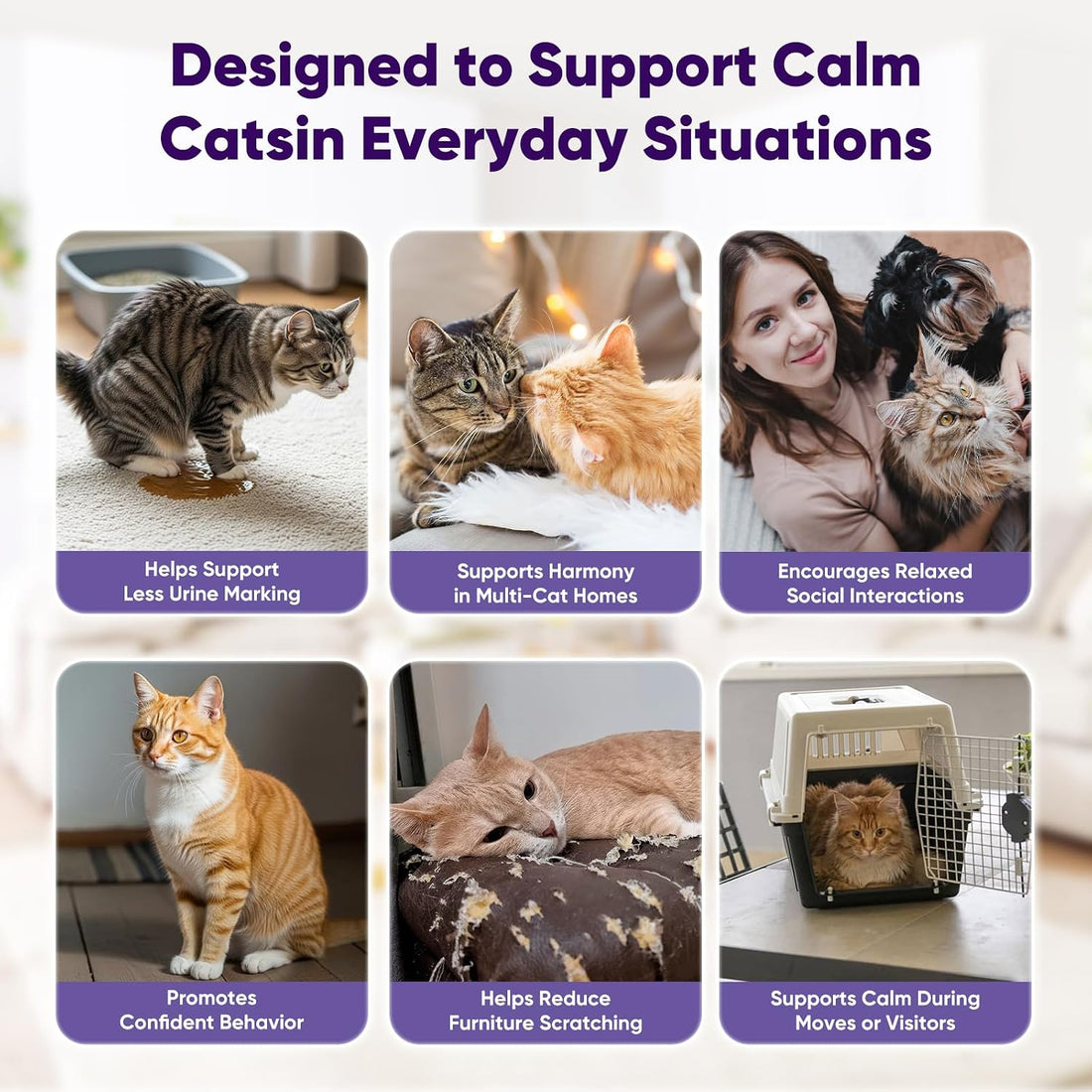 Cat Calming Diffuser with Advanced Pheromone Technology