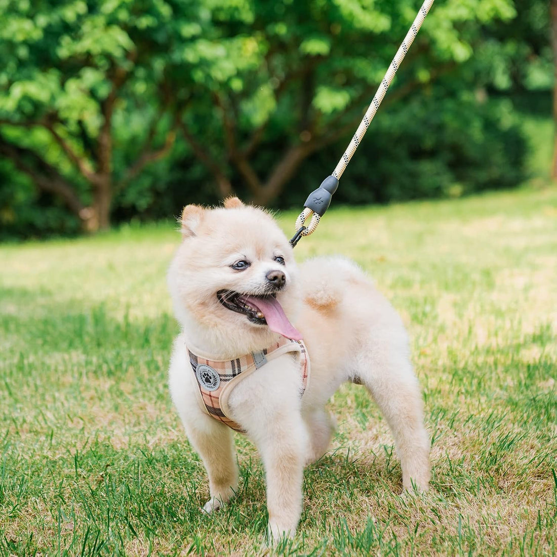 BEAUTYZOO Small Dog Harness and Leash Set,Step in No Choke No Pull