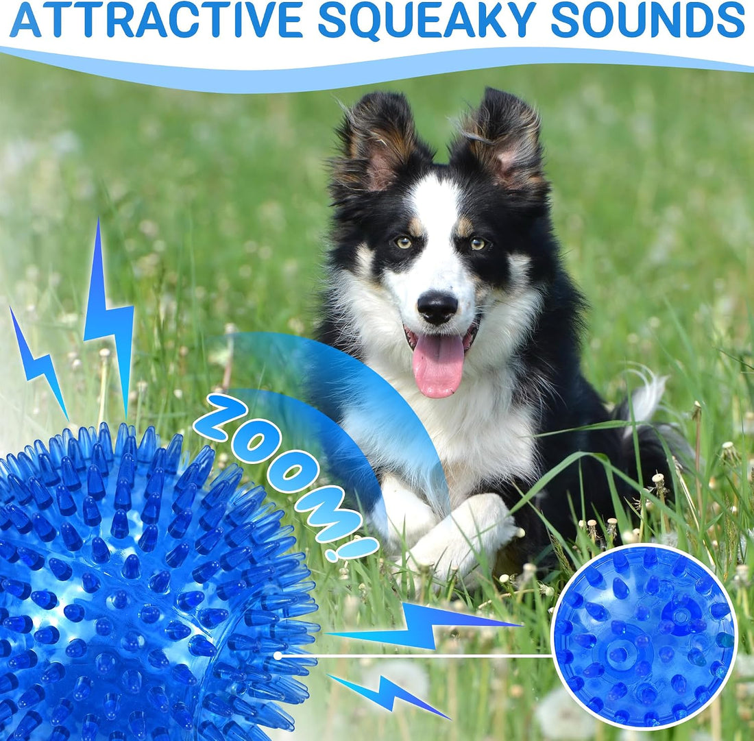 LECHONG 4-Pack Large Squeaky Dog Balls