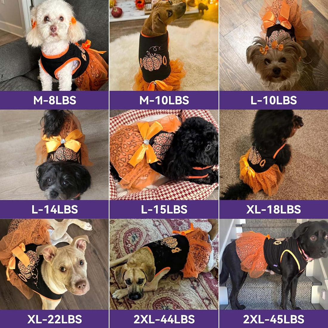 cyeollo Dog Halloween Dress, Pumpkin Print Tulle Outfit with Hair Bow