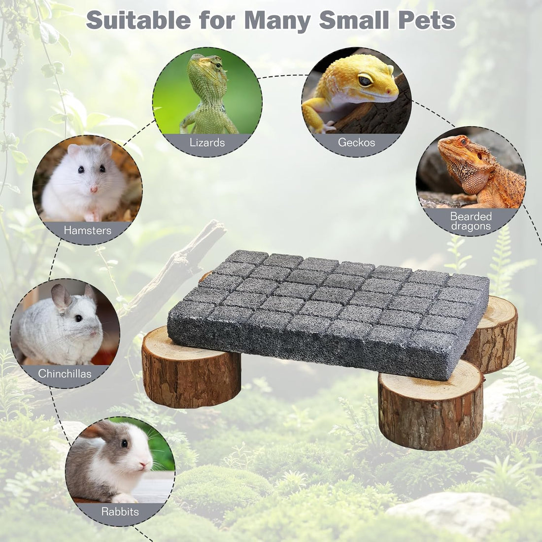 Lizard Scratching Pad, Volcanic Rock Basking Platform with Wooden