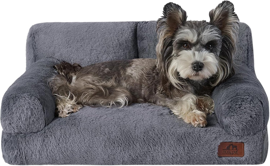 Hollypet Small Dog Large Cat Bed Puppy Couch Beds for Pets up to 25