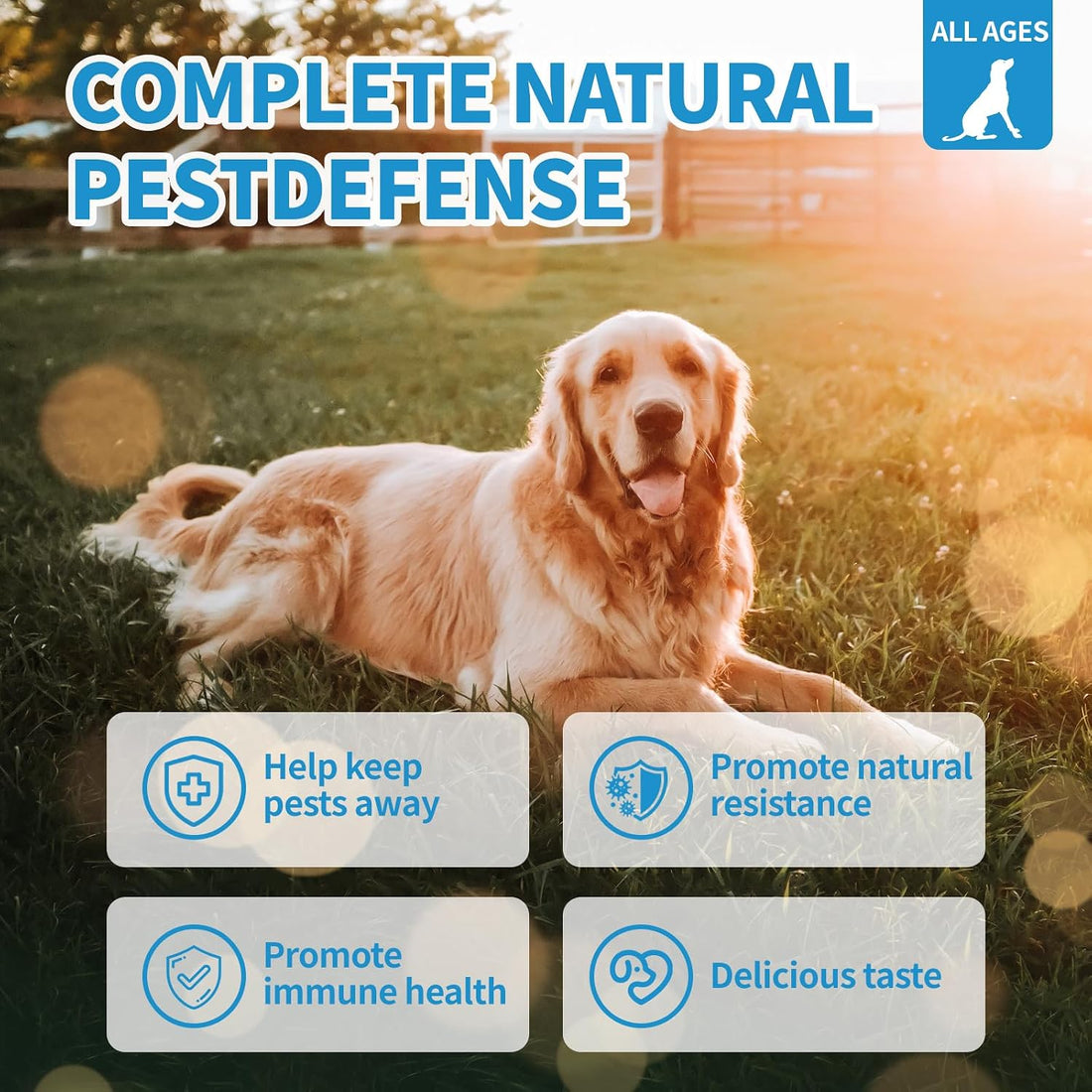 Flea and Tick Prevention for Dogs Chewables 200Ct