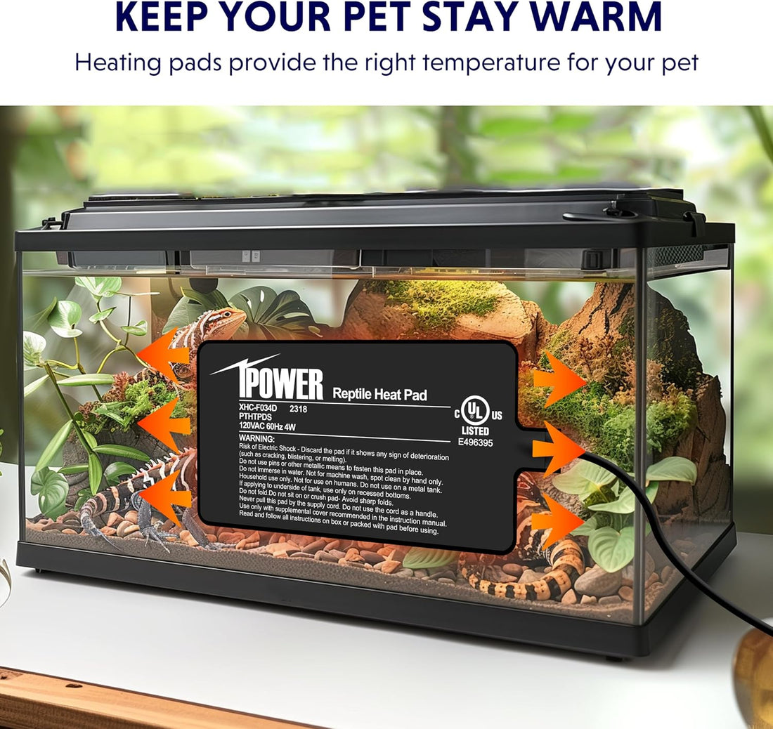 iPower 4X7 Inch Reptile Heating Pad and Digital Heat Mat Thermostat