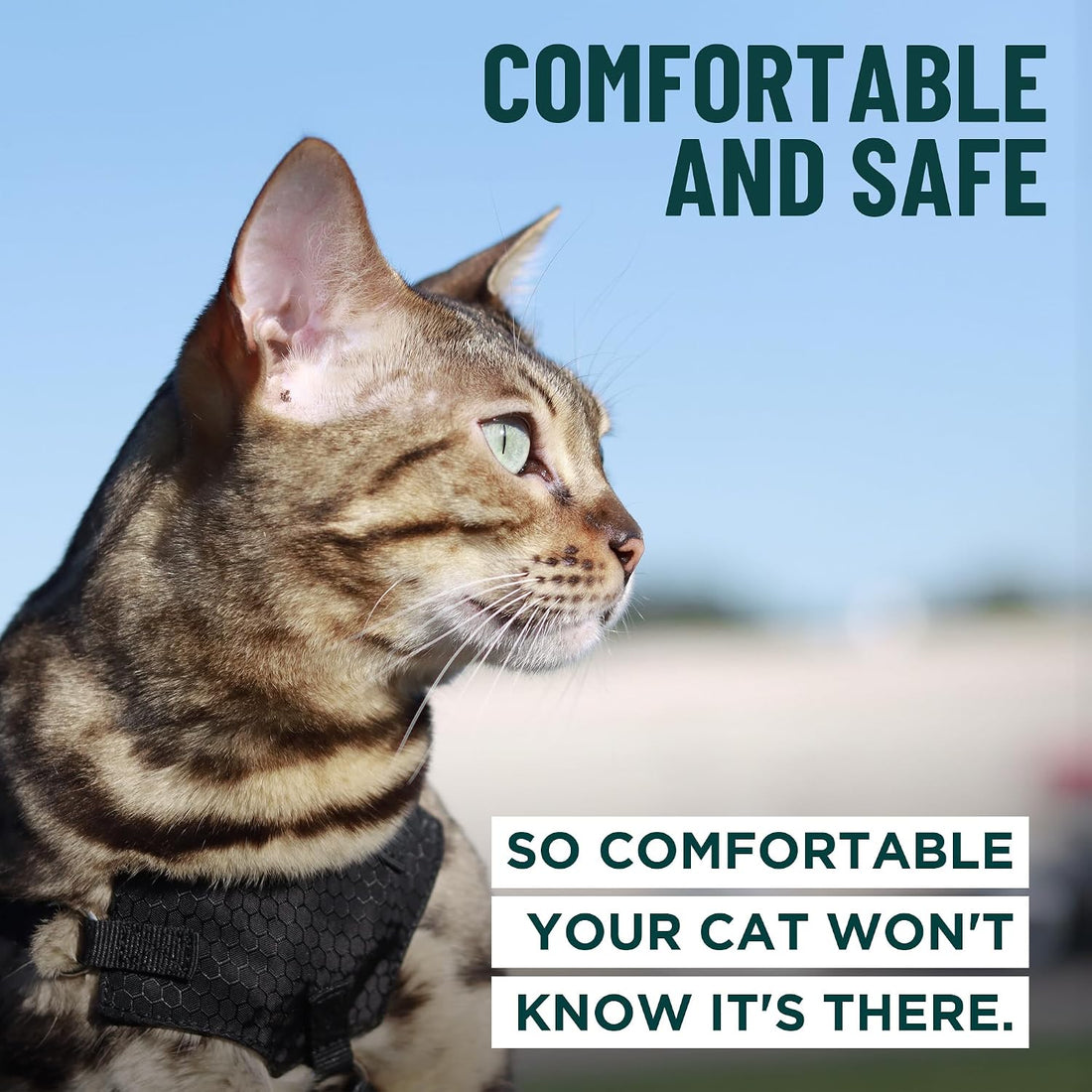 OutdoorBengal Houdini™ Escape Proof Cat Harness and Leash