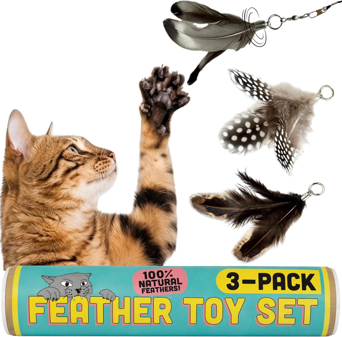 Forever Stick Refill 9-Pack, Feather Cat Wand Toy Attachment