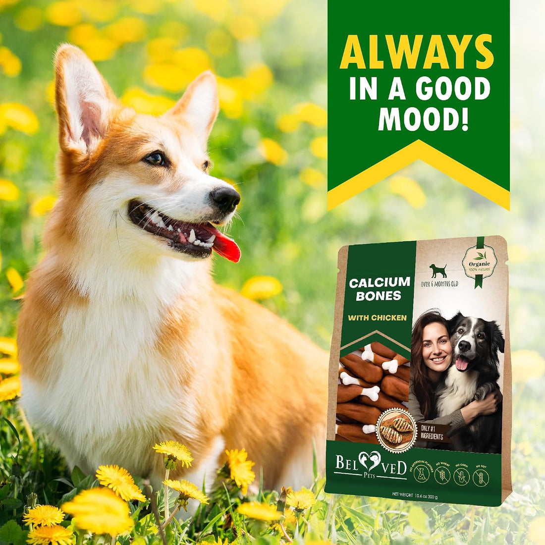Dog Treats Bones Wrapped Chicken & Rawhide Free Chew