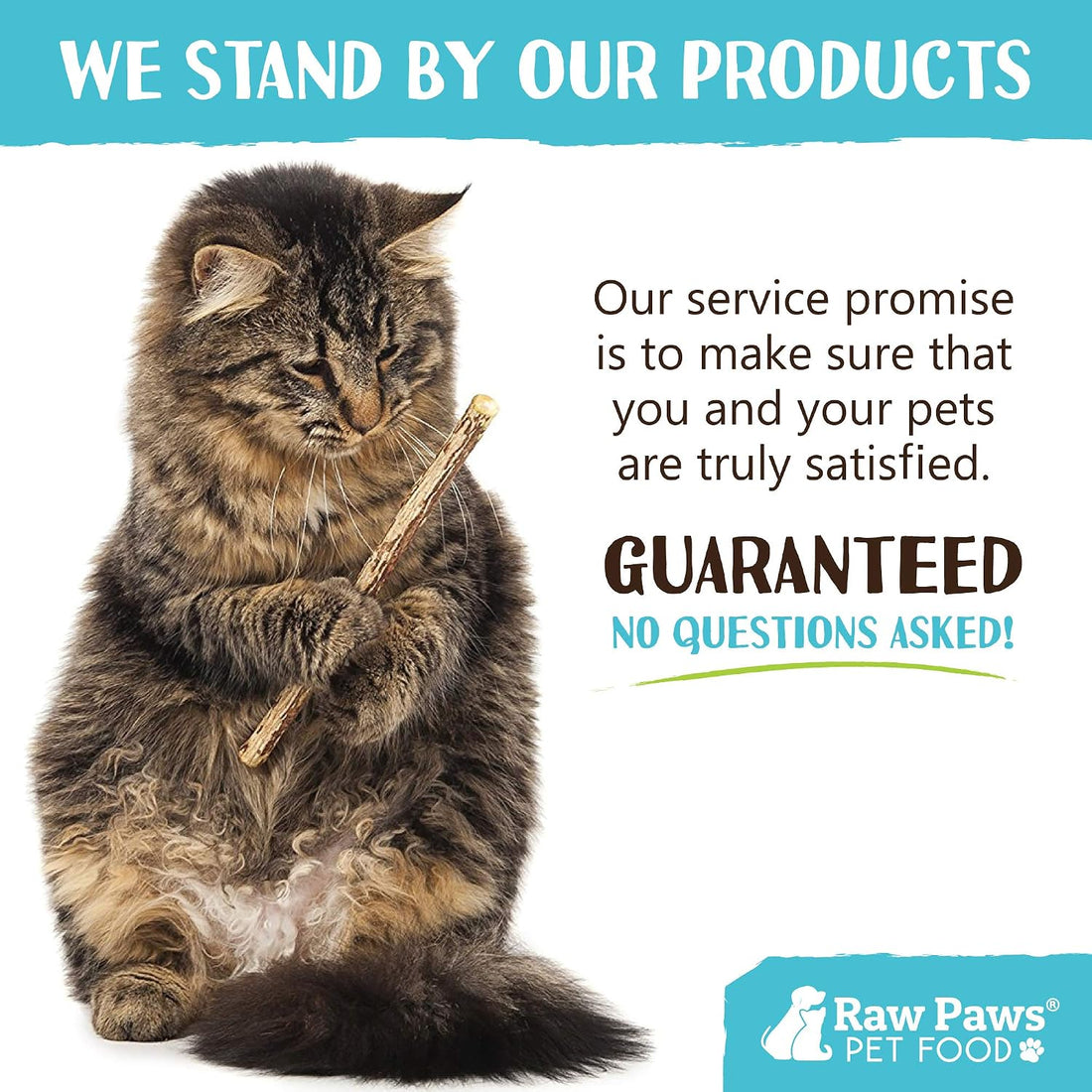 Raw Paws Silvervine Sticks for Cats (30-Count) - Dental Cat Chew Stick