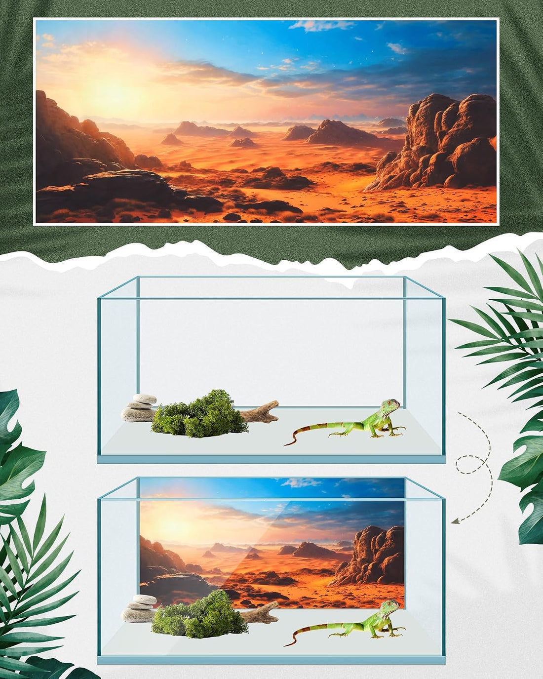 Breling 36 x 18 Inch 4 Pcs Reptile Tank Background,Habitat Scenes