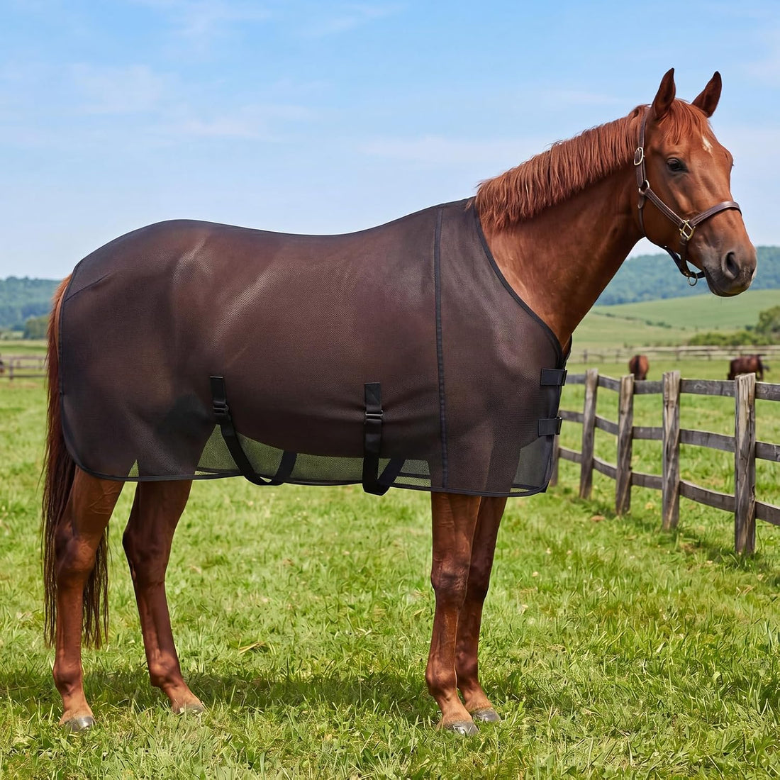 Breathable Mesh Horse Fly Sheet for Summer