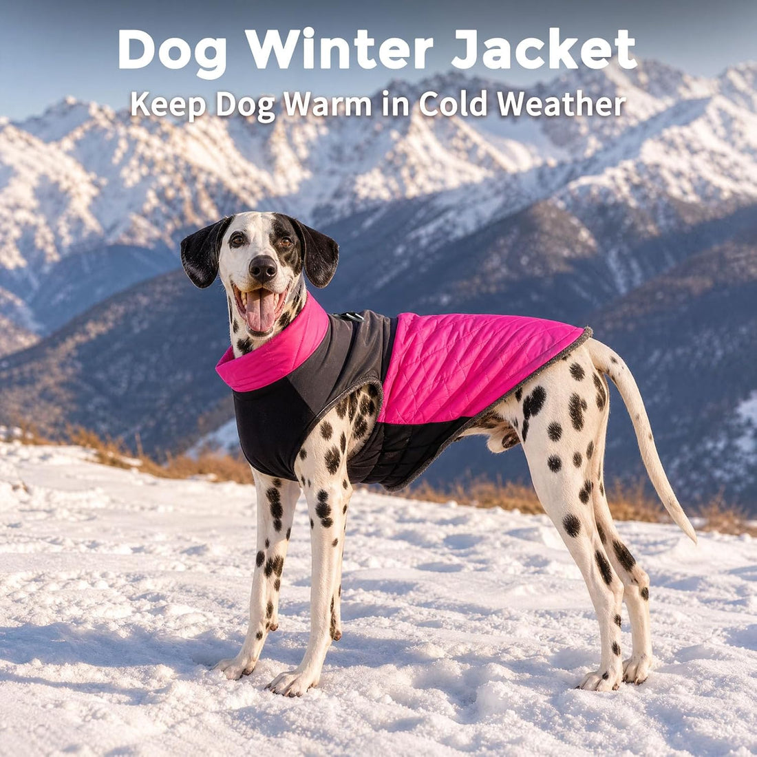 JoyDaog Winter Dog Coats for Small Dogs,Puppy Jacket
